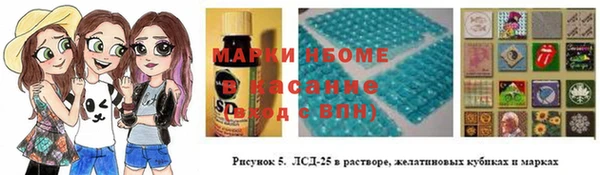 гидра Аркадак