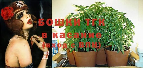 гидра Аркадак