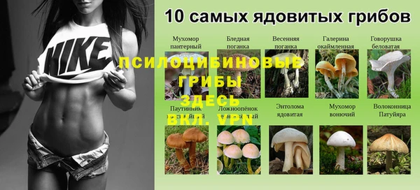 гидра Аркадак