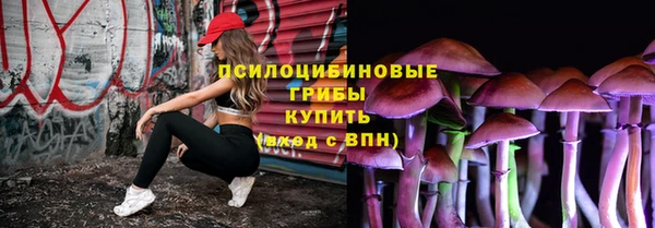 гидра Аркадак